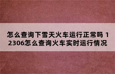 怎么查询下雪天火车运行正常吗 12306怎么查询火车实时运行情况